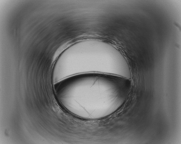 X0000099960004200805231038