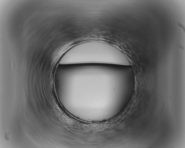 X0000099960005200805231038