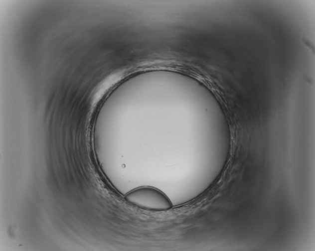 X0000099960006200805231038