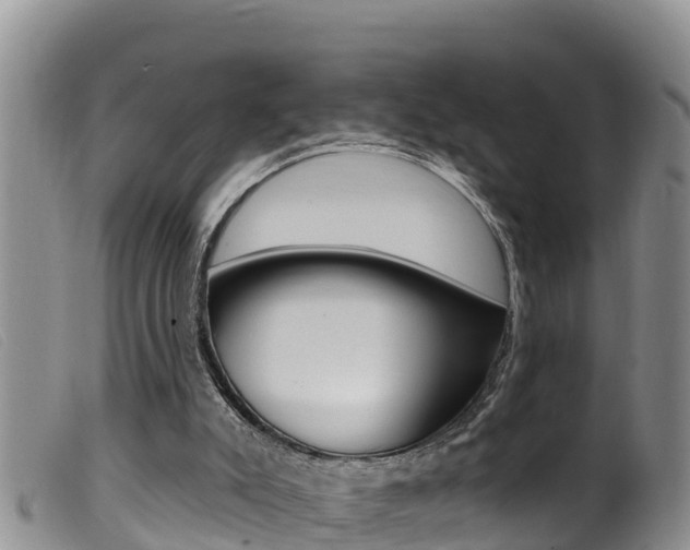 X0000099960007200805231038