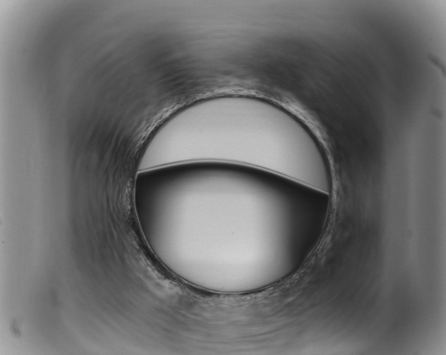 X0000099960009200805231038