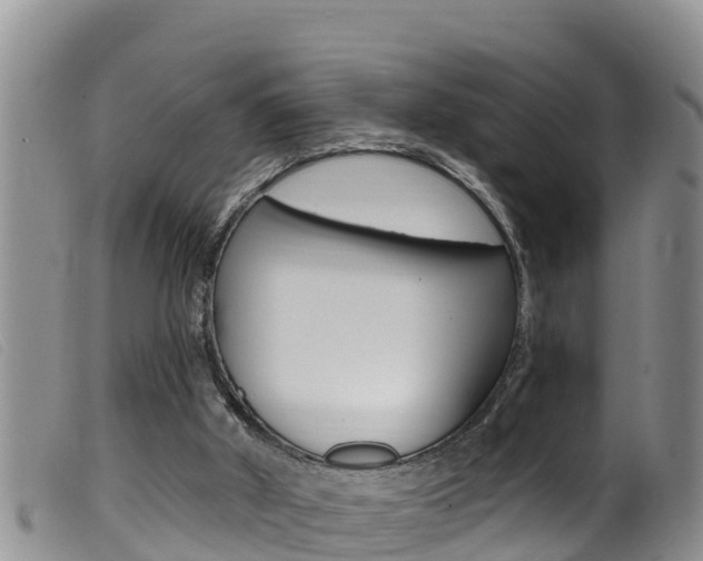X0000099960010200805231038