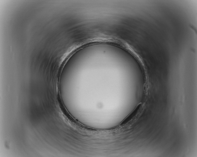 X0000099960011200805231038