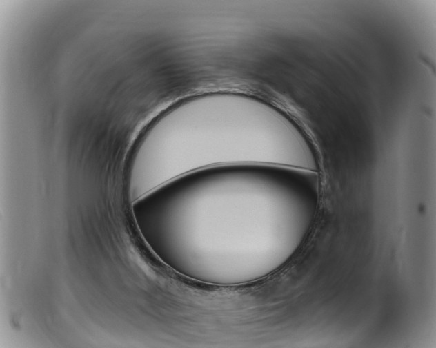 X0000099960012200805231038