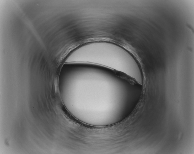 X0000099960013200805231038