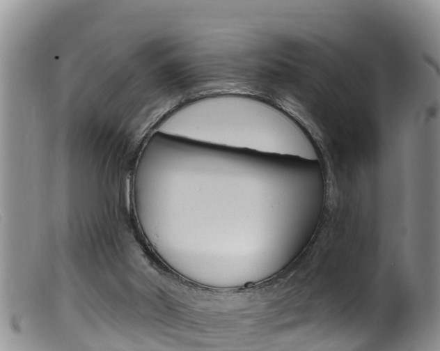 X0000099960014200805231038
