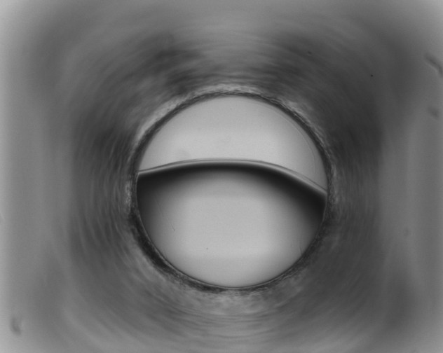 X0000099960016200805231038