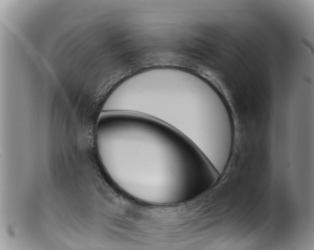 X0000099960017200805231038