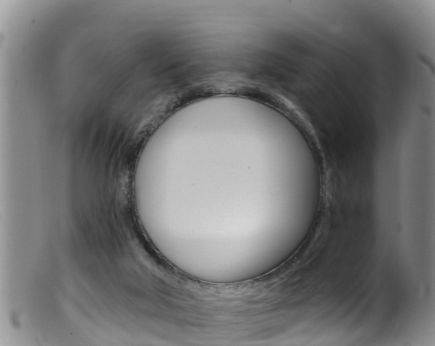 X0000099960018200805231038