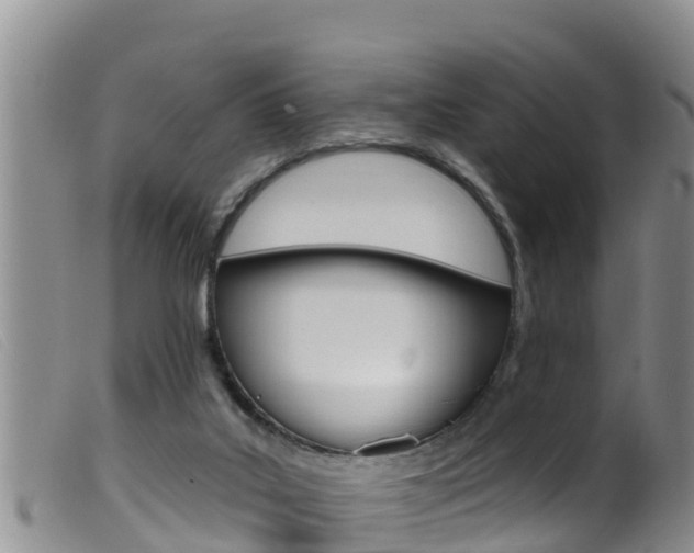 X0000099960019200805231038