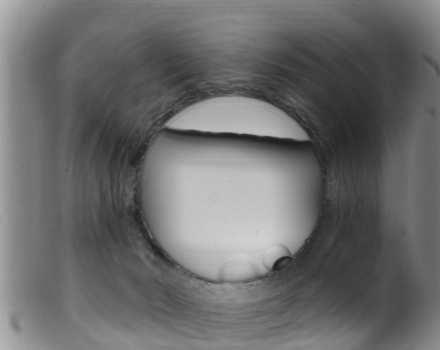 X0000099960030200805231037