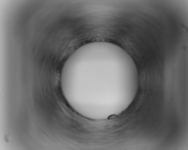 X0000099960038200805231037