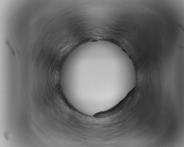 X0000099960043200805231037