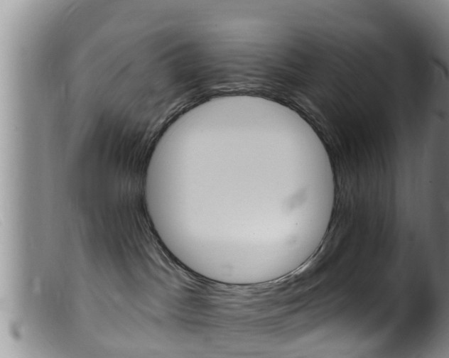 X0000099960045200805231037