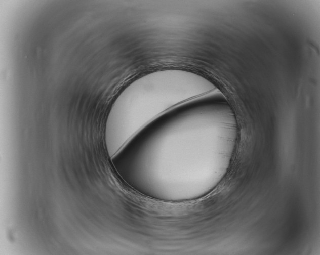 X0000099960048200805231037