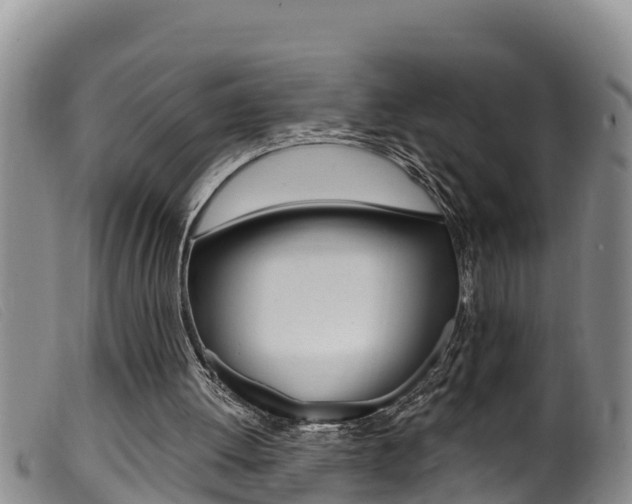 X0000099960052200805231036