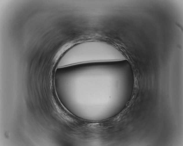 X0000099960054200805231037