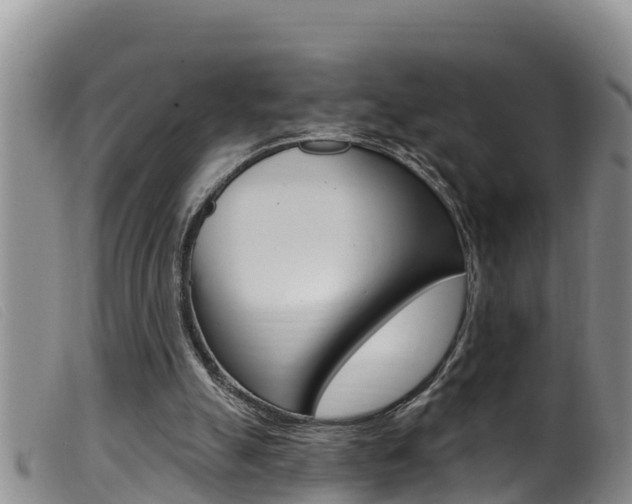 X0000099960055200805231037