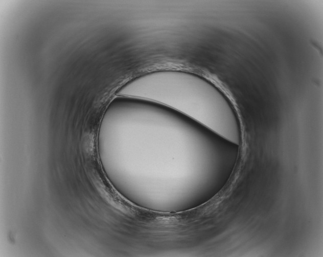 X0000099960057200805231037