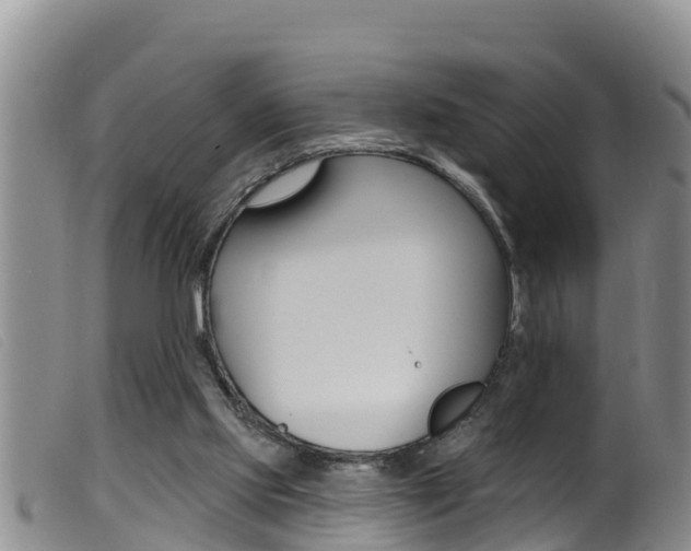 X0000099960061200805231037