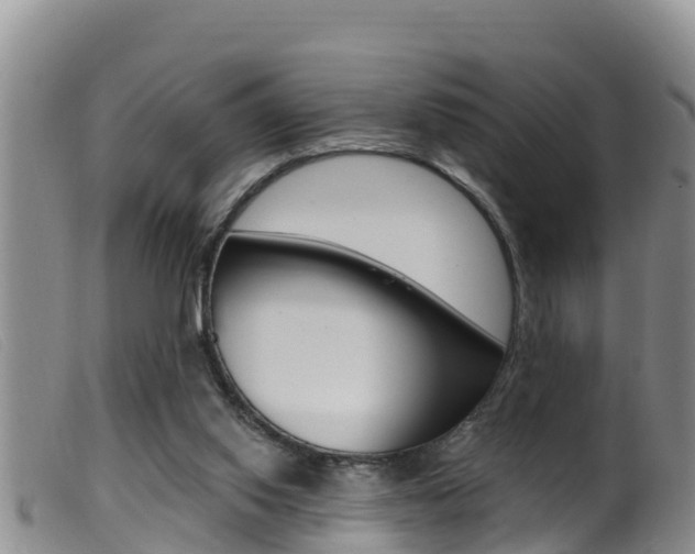 X0000099960062200805231037