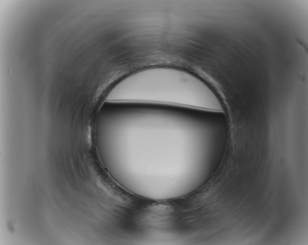 X0000099960067200805231037