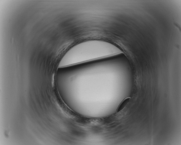 X0000099960070200805231037