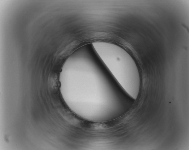 X0000099960073200805231037