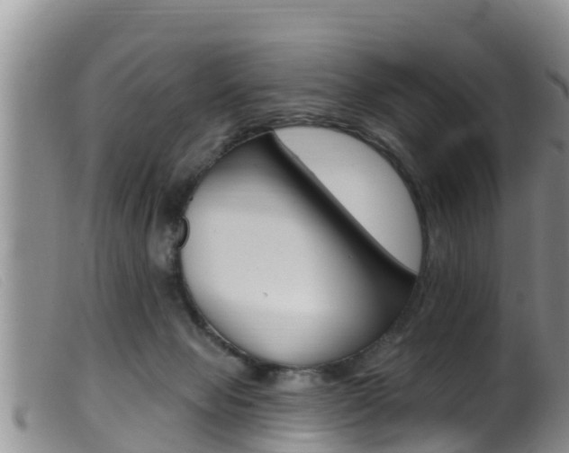 X0000099960077200805231037