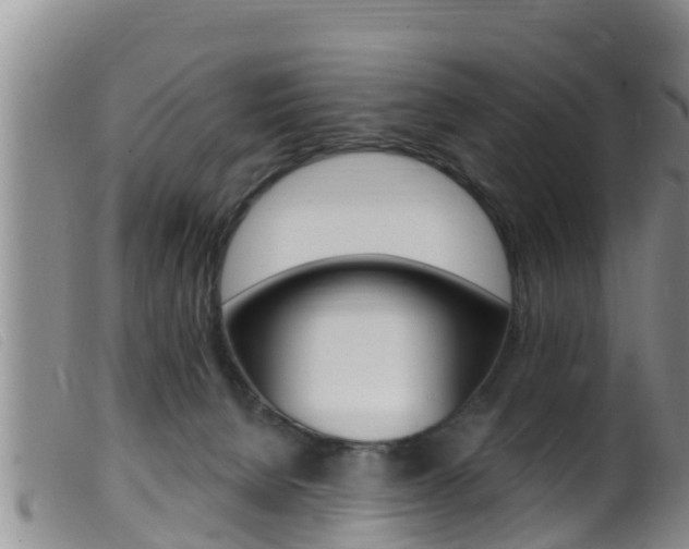 X0000099960080200805231037