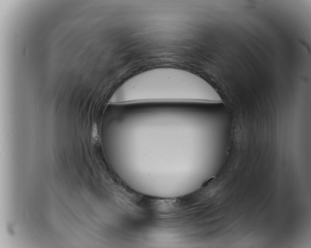 X0000099960089200805231037