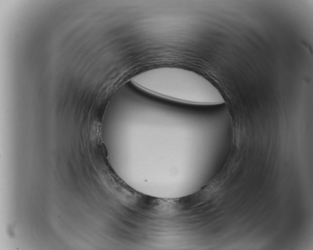 X0000099960093200805231037