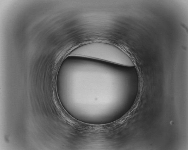 X0000099960097200805231036