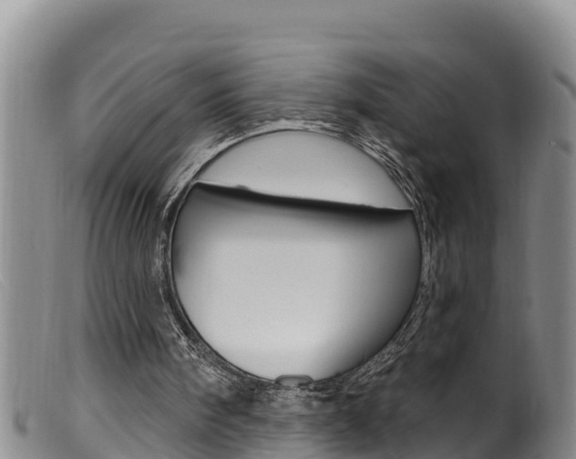 X0000099960098200805231036
