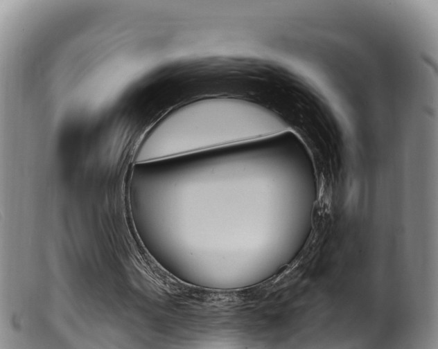 X0000099960099200805231036