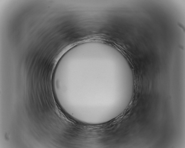 X0000099960100200805231036