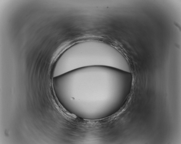 X0000099960101200805231036