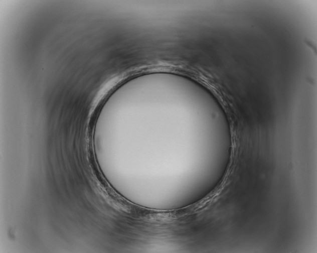X0000099960102200805231036