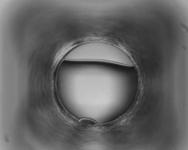 X0000099960103200805231036