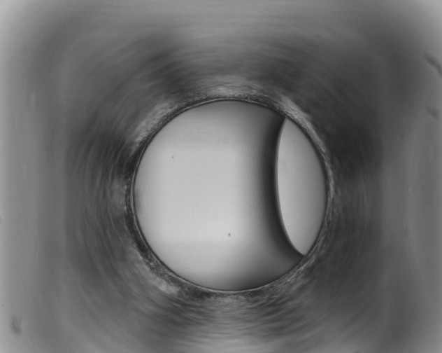 X0000099960106200805231036