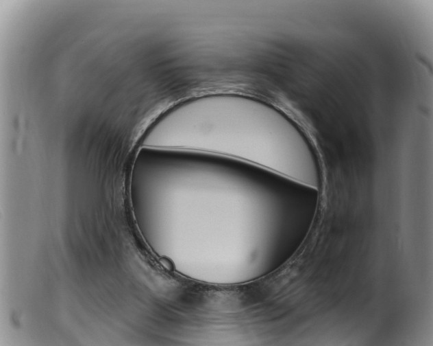 X0000099960107200805231036
