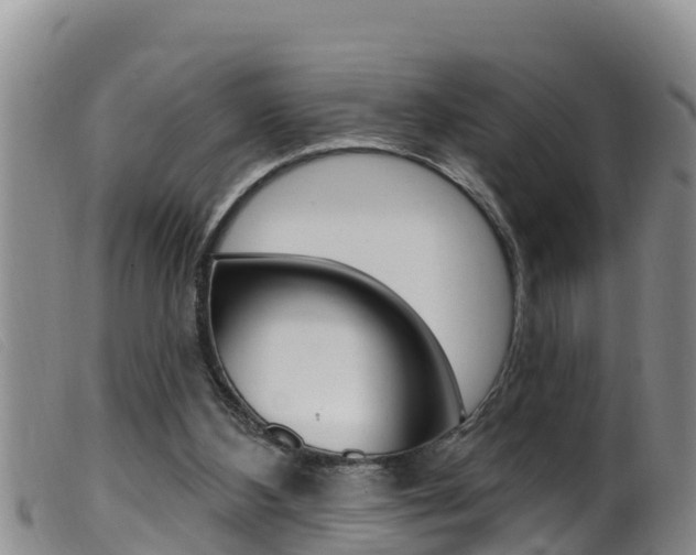 X0000099960108200805231036