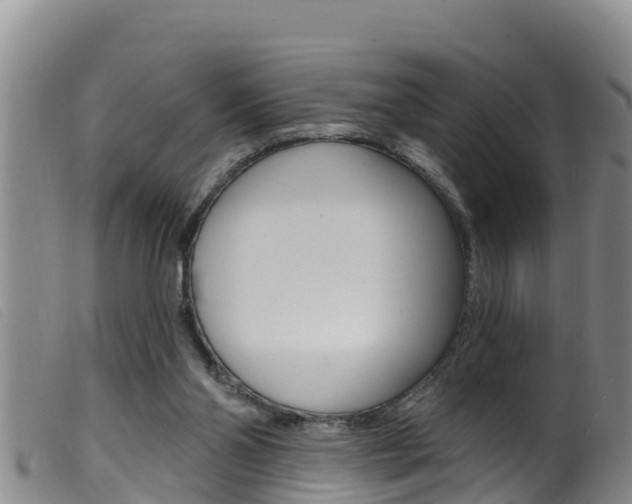 X0000099960110200805231036