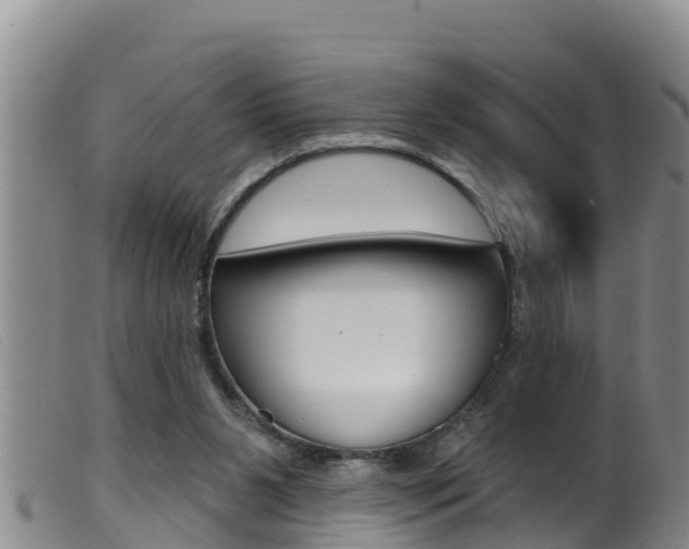 X0000099960111200805231036