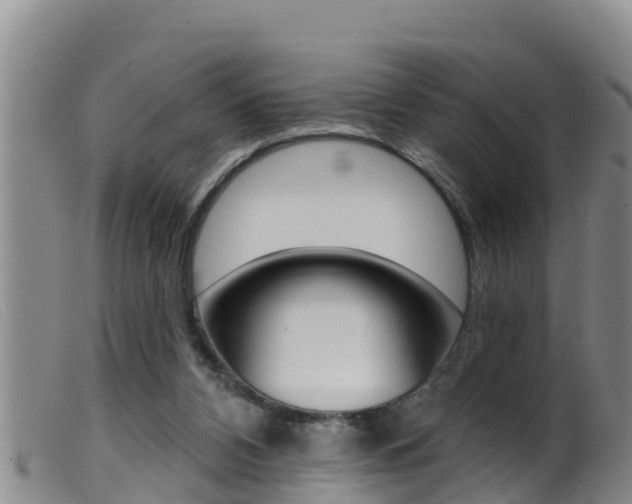X0000099960112200805231036