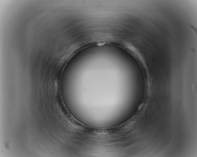 X0000099960113200805231036