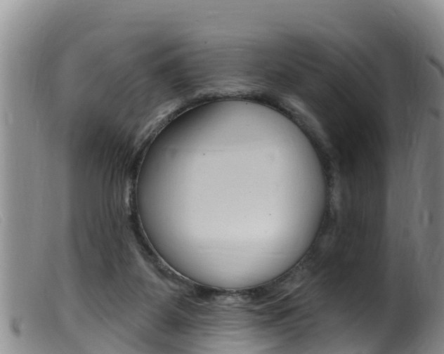 X0000099960115200805231036
