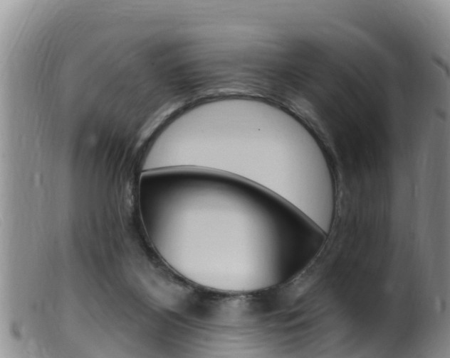 X0000099960116200805231036