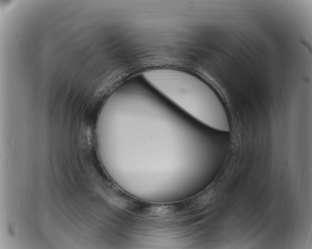 X0000099960117200805231036
