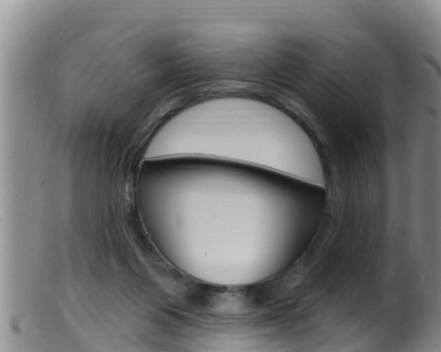 X0000099960119200805231036